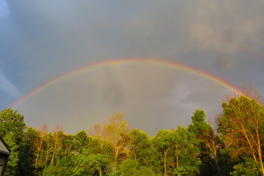 Double Rainbow